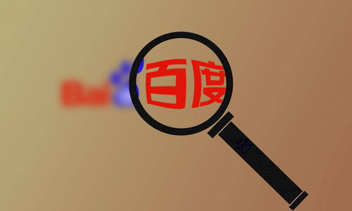 可视化蜘蛛池